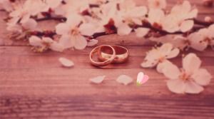 Modelo de álbum de fotos eletrônicas de casamento rosa lindo