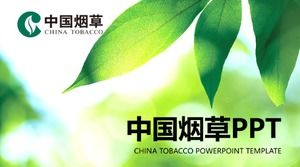 Tobacco safety work summary ppt template