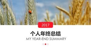 2017 personal year-end summary ppt template