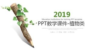 PPT öğretim eğitim yazılımı-bitkiler-ortaokul biyolojisi