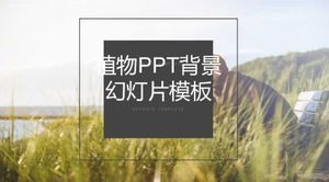 Plant PPT-Diashow-Hintergrundvorlage