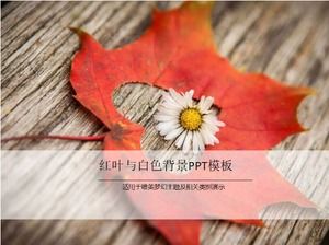 Red leaves and white background PPT template