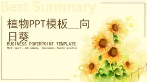 Plant PPT template __ floarea soarelui