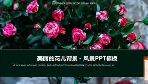 아름다운 꽃 배경 - 풍경 PPT 템플릿