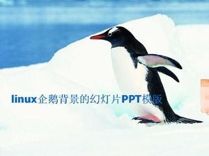 Template PPT slideshow latar belakang penguin Linux