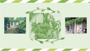 Modello PPT classico di sfondo foglie verdi