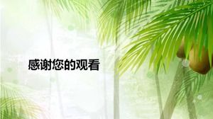 Template Slide Dalam Hutan Bambu