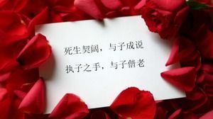 2010 Çin Sevgililer Günü özel PPT slayt şablonu