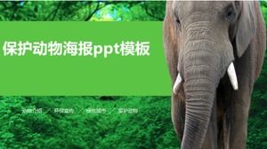 동물 보호 포스터 ppt 템플릿