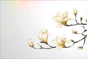 Vier Blumen PPT-Material im Frühjahr mit transparentem Hintergrund
