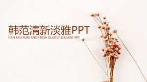Plantilla PPT de enseñanza en línea de clase abierta fresca y elegante de Han Fan