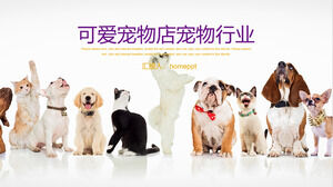 Cute pet shop pet hospital PPT template