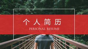 Traditional personal resume job application introduction PPT template
