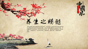 Китайский ветер, традиционная китайская медицина, здравоохранение, китайская фитотерапия, шаблон PPT