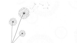 Beautiful dandelion PPT background picture