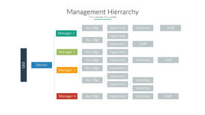 Management-Organigramm PPT-Material