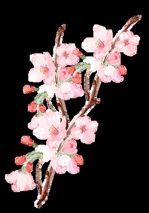 Розовый персиковый цвет Cherry Blossom Free Cutout (26 фото)