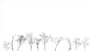 Minimalist branches PPT background picture