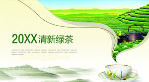 新鲜绿茶文化推广PPT模板
