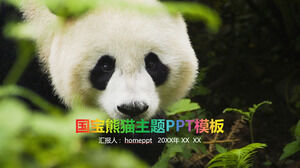 Modèle PPT de publicité d'activité de rapport de débriefing sur le thème du panda au trésor national