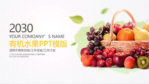 Fruit industry general PPT template