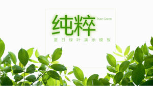 Beautiful literature and art fresh green leaves PPT template 2