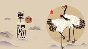 Care for the elderly Double Ninth Festival PPT template (2)