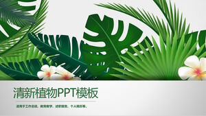 Modelo de PPT de plantas verdes frescas e atraentes 2
