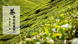 2022 Teekulturförderung PPT