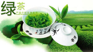 تقديم منتج الشاي الأخضر PPT ترويج العلامة التجارية