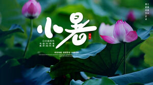Plantilla PPT de bienvenida de verano pequeño de temporada agrícola tradicional china de loto de hoja de loto