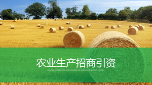 Promoción de la inversión en producción agrícola Presentación del proyecto de descripción general del trabajo anual Plan de trabajo del próximo año Plantilla ppt de productos agrícolas