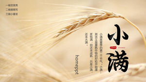 Sfondo del campo di grano dorato Modello PPT di introduzione del termine solare Xiaoman