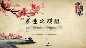 Material de presentación de diapositivas de la plantilla PPT de la medicina herbal china para el cuidado de la salud de la medicina tradicional china