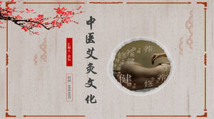 Medicina tradizionale cinese cultura moxibustione pianificazione sanitaria pubblicità modello PPT dinamico materiale presentazione