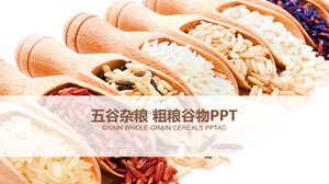 PPT-Vorlage für die Zusammenfassung der Werbearbeit für grobe Körner und Getreideprodukte