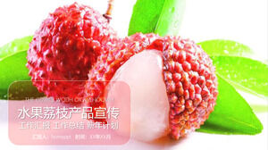 Zusammenfassung der PPT-Vorlage für die Werbearbeit für Obst-Litschis-Produkte