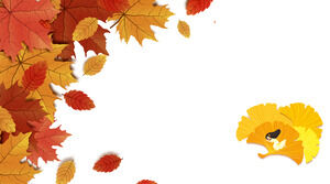 Five beautiful leaves PPT background pictures