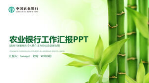 중국 농업 은행 개인 프로필 보고 PPT 템플릿