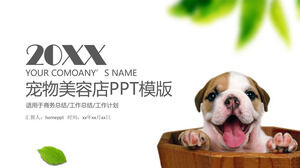Modèle PPT de plan de travail de promotion de marque de magasin de toilettage pour animaux de compagnie
