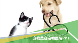 寵物美容寵物醫院PPT模板