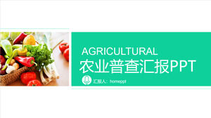 Plantilla PPT de promoción de productos agrícolas del informe del censo agrícola