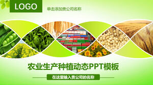 Templat PPT dinamis penanaman produksi pertanian