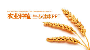 เทมเพลต PPT แสดงโปรโมชั่นการปลูกพืชผลทางการเกษตร