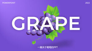 Semplice modello ppt di introduzione dell'uva viola atmosferica