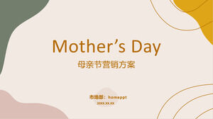 Modèle PPT du programme de marketing de la fête des mères de correspondance des couleurs Morandi simple