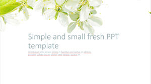 Plantilla PPT fresca simple y pequeña