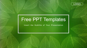 Plantillas de PowerPoint de negocios de hojas transparentes
