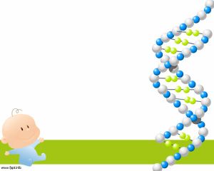 DNA 친자 파워 포인트 템플릿