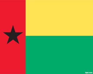 기니 비사우 PPT의 국기